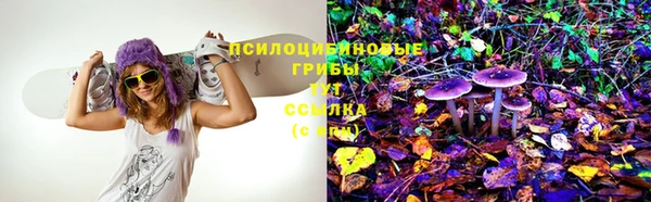 трава Балабаново