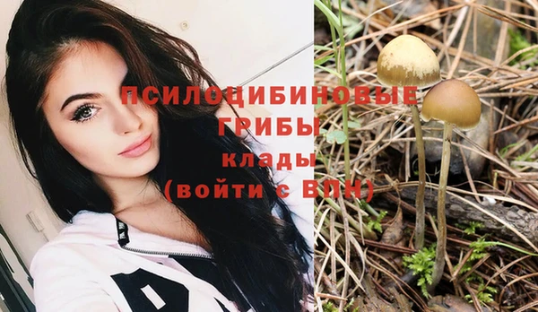 дживик Баксан