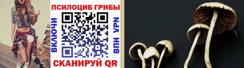 Галлюциногенные грибы Cubensis  Верхнеуральск 